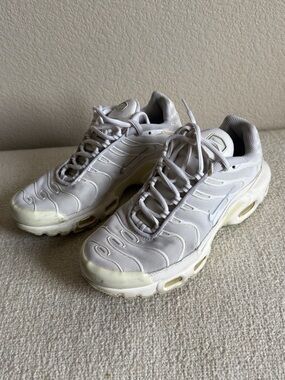 Nike White and Light Gray Air Max Plus Sneakers